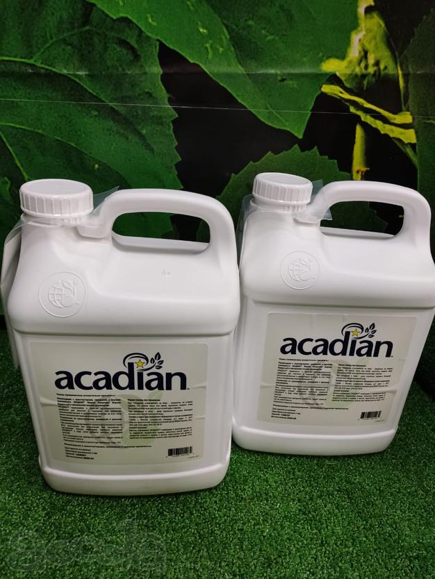 Жидкие органические удобрения "Acadian"